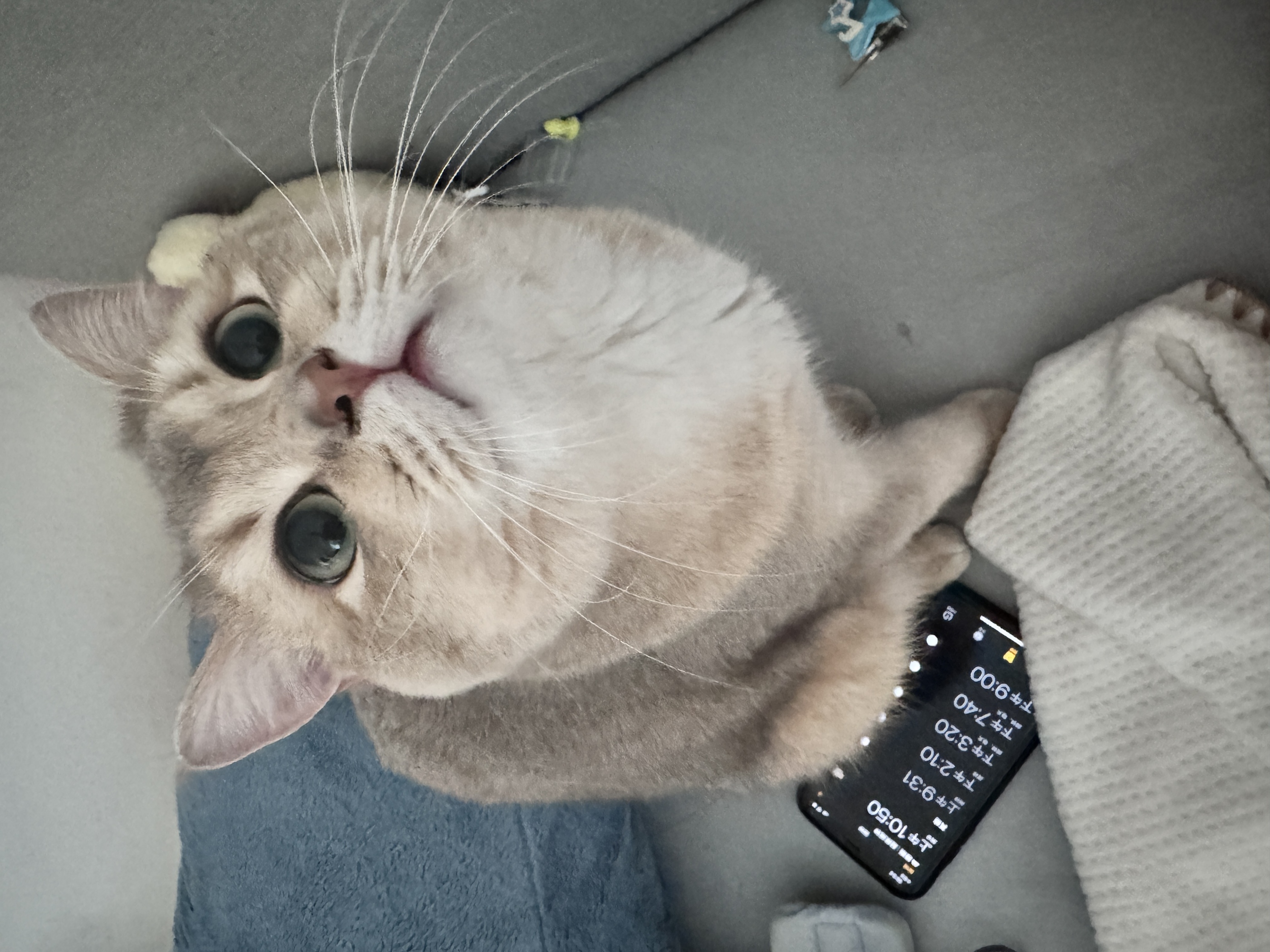 眼酱大魔王w – NO.107 Fantia 24年5月合集6期）[31P2V]-XikXak